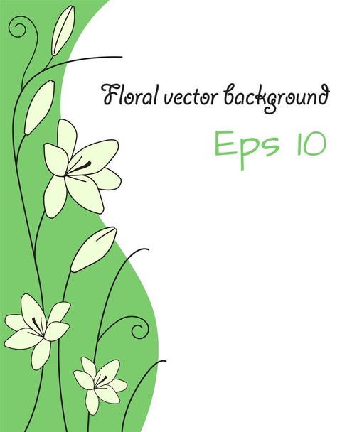 floral abstract background with white lily flower light green curves and spiral stem decorative vector template sample text - Vektor, Bild