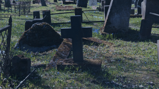 Séta a régi temető - Felvétel, videó