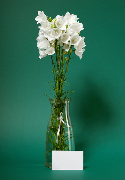 clocher dans un vase sur fond vert
 - Photo, image