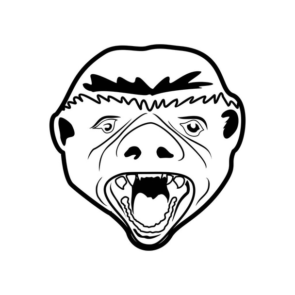Texugo cabeça ilustração vetor símbolo gráfico logotipo design
 - Vetor, Imagem