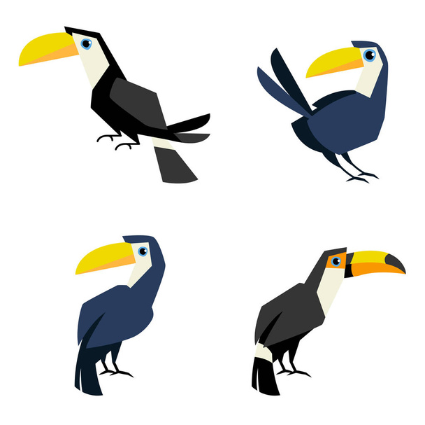 Toucan flat style vector isolated on white background. Tropical bird icon. Cute toucan flat vector isolated on white. South America fauna.Wild animal illustration for zoo, nature concept. - Wektor, obraz