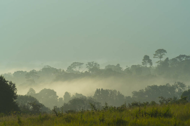 pohled na tropický prales krajiny - Fotografie, Obrázek