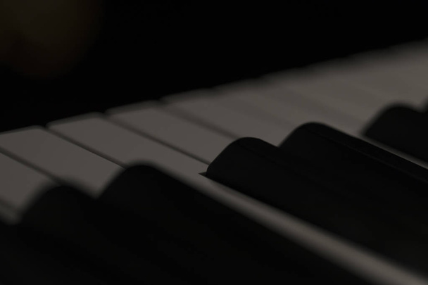 グランド ピアノ キーボードの反射 - 写真・画像