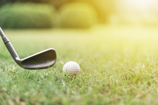 Pelota de golf con club de golf sobre hierbas verdes con luz solar
. - Foto, Imagen