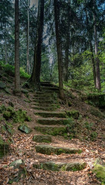 Stairs made of stone on a hiking trail in the forest in Saxony - Photo, image