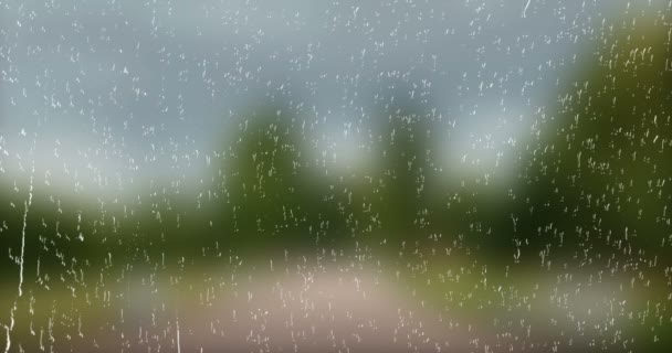 az eső esik eső üveg kék háttér, vízcseppek a természet fa mozgalom háttérben ablaküveg - Felvétel, videó