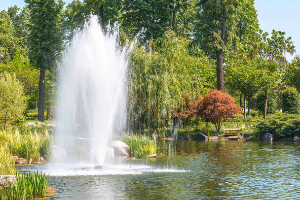 Fountain on the lake in the landscape park Mezhigirya near Kiev, Ukraine. - Foto, Imagem
