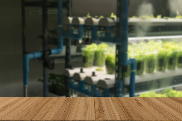 groente kweken in temperatuur controlesysteem met kunstlicht met houten tafel voor display of montage product - Foto, afbeelding
