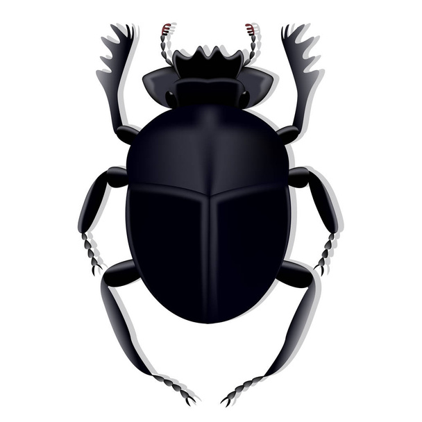 Scarab beetle created using a mesh gradient on a white background with shado - Vector, Image