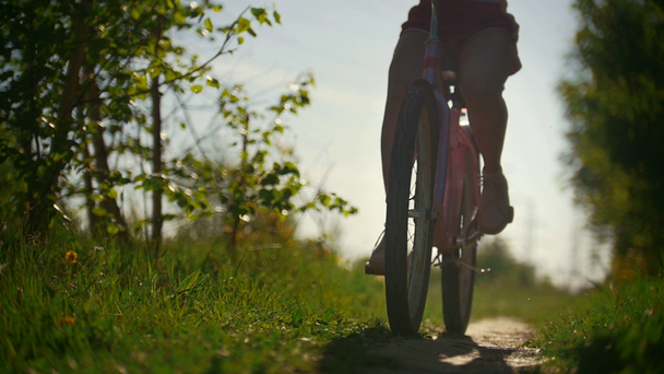 Green tree branches, girls walking on bicycles, green tree, sunny summer day - Materiał filmowy, wideo