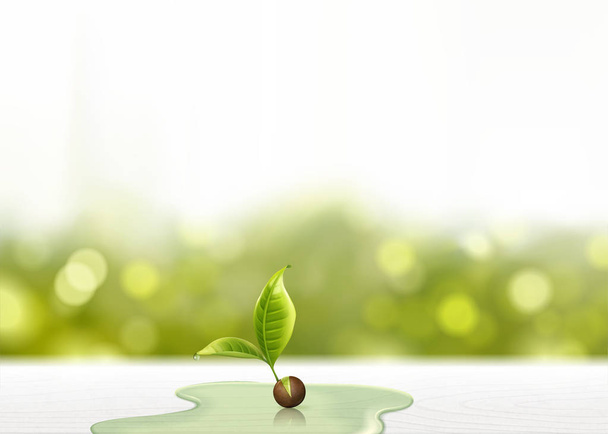 Groene spruit met wateren op witte houten tafel in 3d illustratie, glitter bokeh achtergrond - Vector, afbeelding