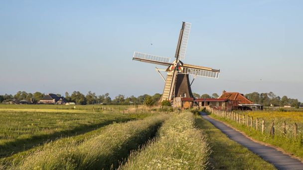 小さなミラー邸とサイクリングの花で夏の畑に夕日コース オランダの歴史的な木製風車 - 写真・画像