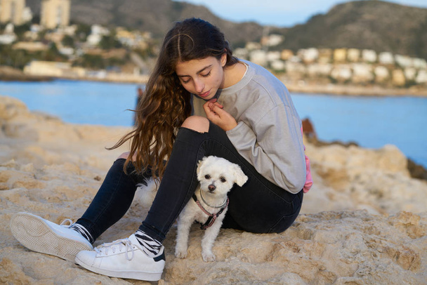 Girl playing with maltichon puppy dog in the beach - Foto, immagini