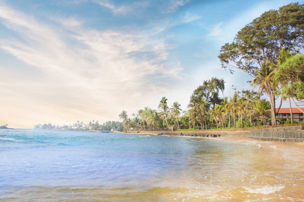 Belle vue sur la plage tropicale du Sri Lanka par une journée ensoleillée
 - Photo, image