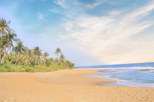 Beautiful view of the tropical beach of Sri Lanka on a sunny day - Photo, image