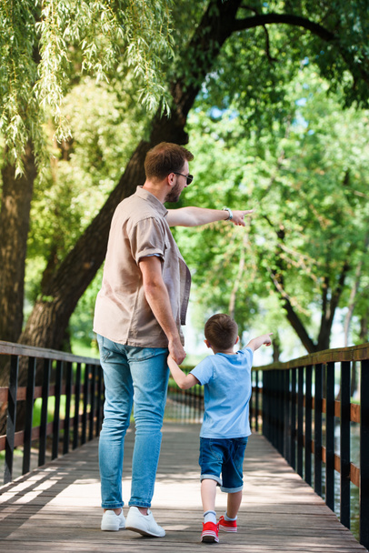 vista trasera del padre y el hijo señalando algo en el puente en el parque
 - Foto, Imagen