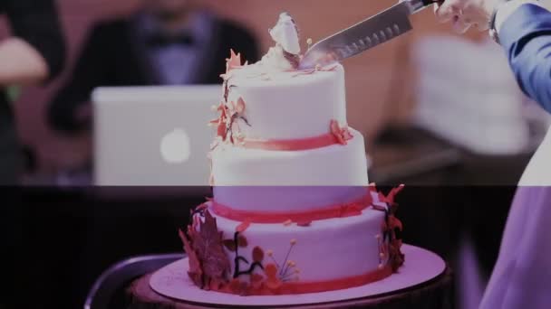 Modré pruhované svatební dort - Záběry, video