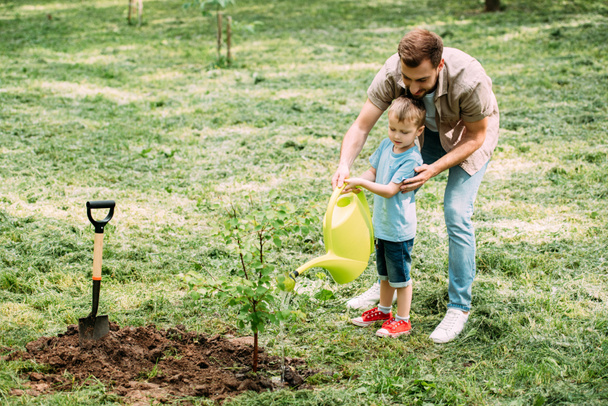father and son watering seedling with watering can together at park - Foto, immagini