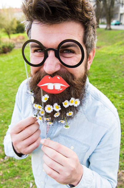 Man with long beard and mustache, defocused green background. Hipster on cheerful face, posing with glasses and lips. Nerd concept. Guy looks nicely with daisy or chamomile flowers in beard - Фото, зображення