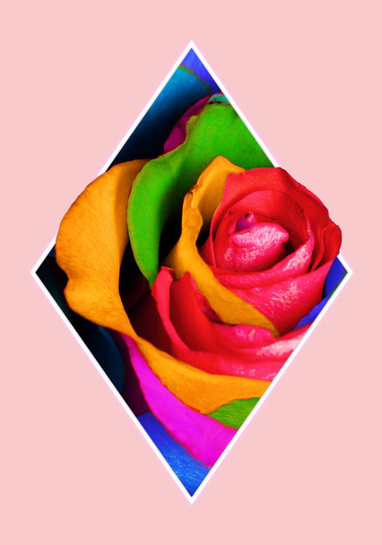 Geometriai kollázs több színű Rózsa virág és sokszög, dekoratív háttér. - Fotó, kép