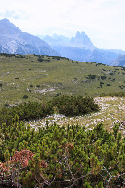panorama from Mount Species (Dolomites). In the background the three peaks of Lavaredo - Фото, зображення