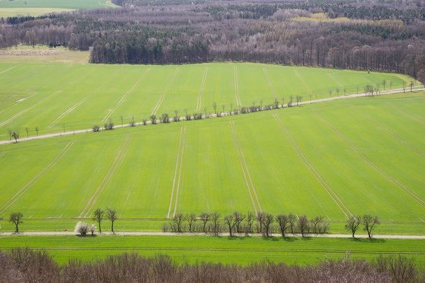 Felder und Straßen im Frühling von oben - Foto, Bild