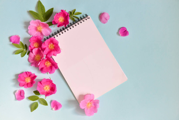 a notebook decorated with flowers lie on a background. contrast design. floristics. floristic composition - Foto, imagen