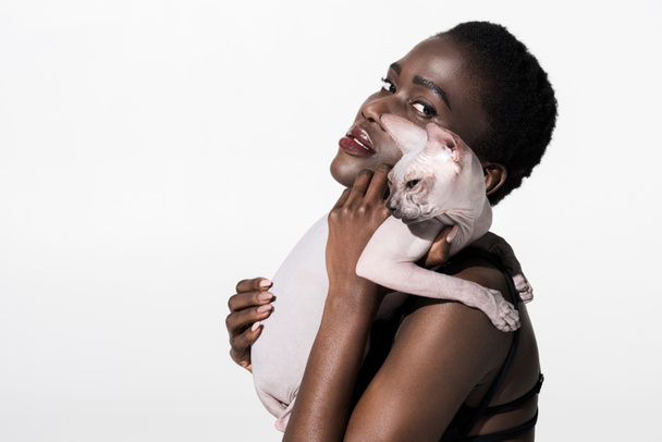 スフィンクスの猫を押しながら白で隔離カメラ目線はボディー スーツの美しい女性のアフリカ系アメリカ人  - 写真・画像