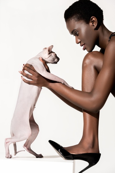 side view of beautiful african american girl in high heeled shoe holding sphynx cat isolated on white - Zdjęcie, obraz