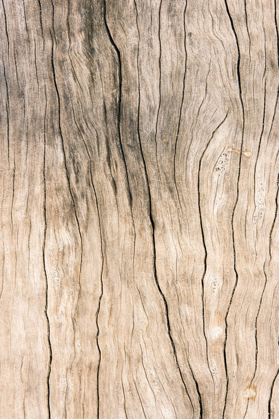 Textuur van de vuil oppervlak hout achtergrond, oud hout, hardhout - Foto, afbeelding