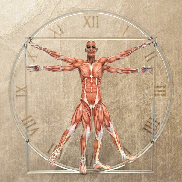 Vitruvius Adamı - Fotoğraf, Görsel