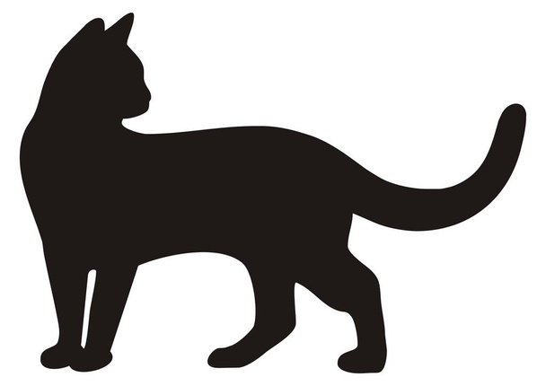 black cat, vector icon, silhouette - Vecteur, image