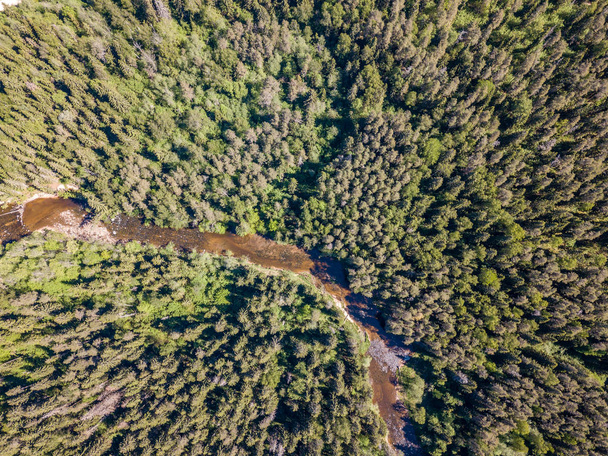 drone kép. a légi felvétel a folyó zavaros tavasz erdő vidék. Lettország - Fotó, kép