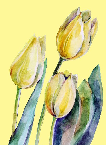 Watercolor yellow tulips on a yellow background. Illustration of bouquet. - Фото, зображення