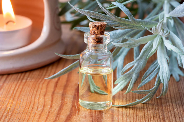 Une bouteille d'huile essentielle d'absinthe fraîche d'Artemisia Absinthium sur une table en bois
 - Photo, image