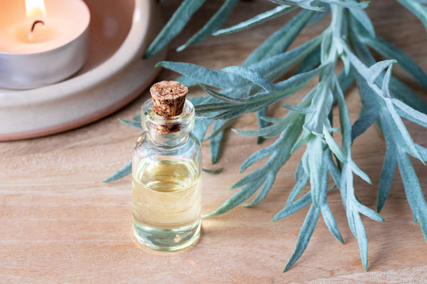 A bottle of wormwood essential oil with fresh Artemisia Absinthium plant - 写真・画像