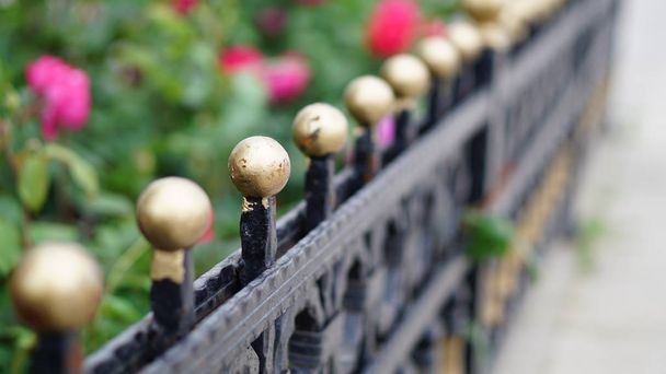 recinzioni in ferro da giardino proteggere i fiori
 - Foto, immagini