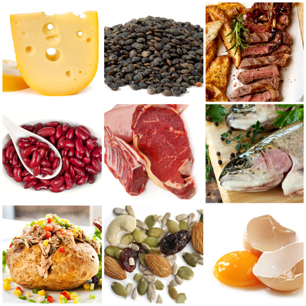 Fuentes alimentarias de proteínas
 - Foto, Imagen