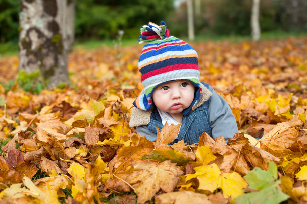 baby boy in autumn leaves - Foto, Imagem