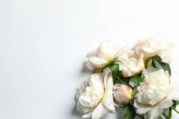 Beautiful blooming peony flowers on white background, top view - Foto, Imagem
