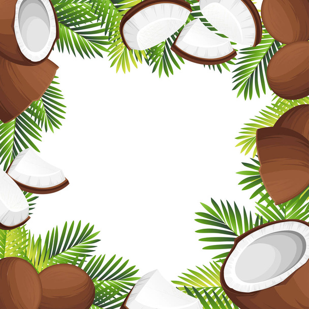Coconut illustration. Whole and pieces coconuts with green palm leaves. Organic food ingredient, natural tropical product. Vector illustration on white background. - Vector, Image