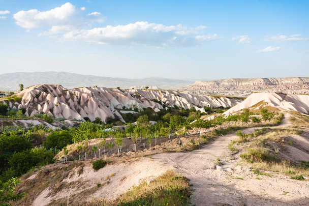 Travel to Turkey - little orchard near Uchisar village in Cappadocia in spring - Photo, Image