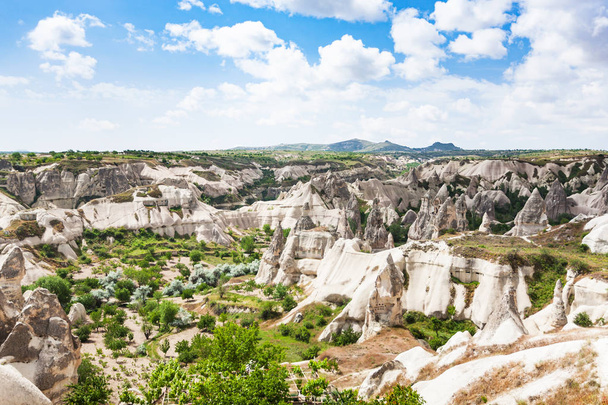 Travel to Turkey - green valley in Goreme National Park in Cappadocia in spring - Photo, image