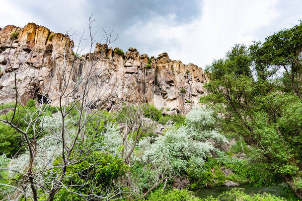 Matka Turkkiin - vihreitä puita Ihlaran laakson vanhassa rotkossa Aksarayn maakunnassa Cappadociassa keväällä
 - Valokuva, kuva