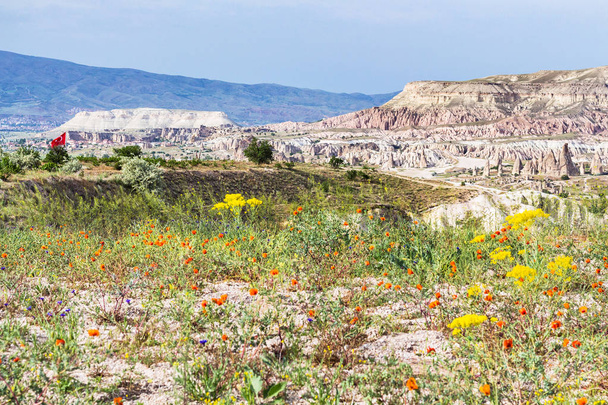 Travel to Turkey - mountain landscape and flowering meadow in Goreme National Park in Cappadocia in sunny spring day - Photo, Image