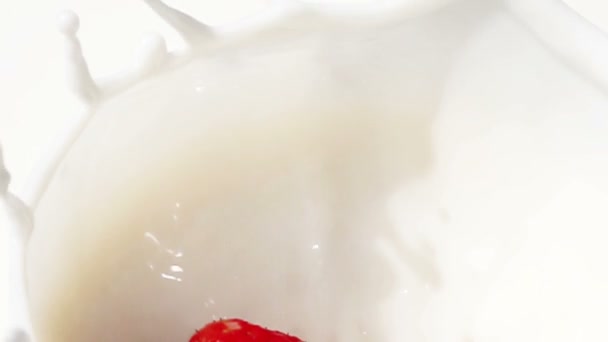Strawberry in milk. Slow motion. - Séquence, vidéo