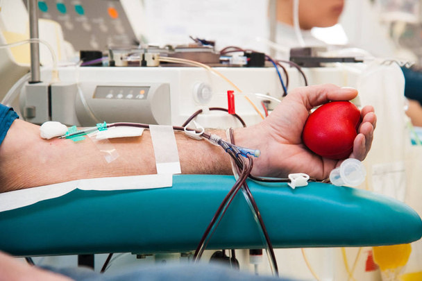 Physician during transfusion blood donation unit from donor in laboratory the hospital - Photo, Image