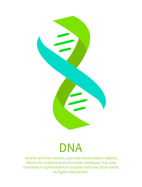 Bright DNA Chain on Scientific Informative Poster - Vector, Image