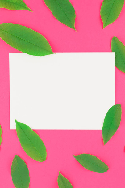 Creatieve plat lag bovenaanzicht patroon met verse groene bladeren op helder roze achtergrond met briefkaart mock up en ruimte in minimale pop-art stijl, sjabloon voor tekst kopiëren - Foto, afbeelding