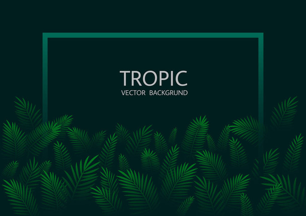 Konstrukcja z egzotycznych tropikalnych palm liści i napis. Tropikalny tło wektor. - Wektor, obraz